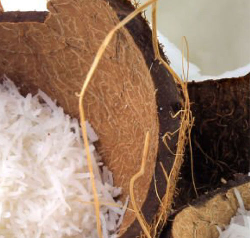 Coconut &<br>Sugar-Based
