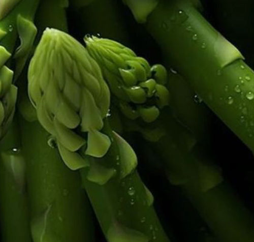 Natural <br>Prebiotics Blend