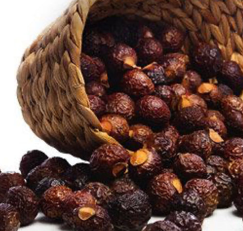 Soapberry Extract