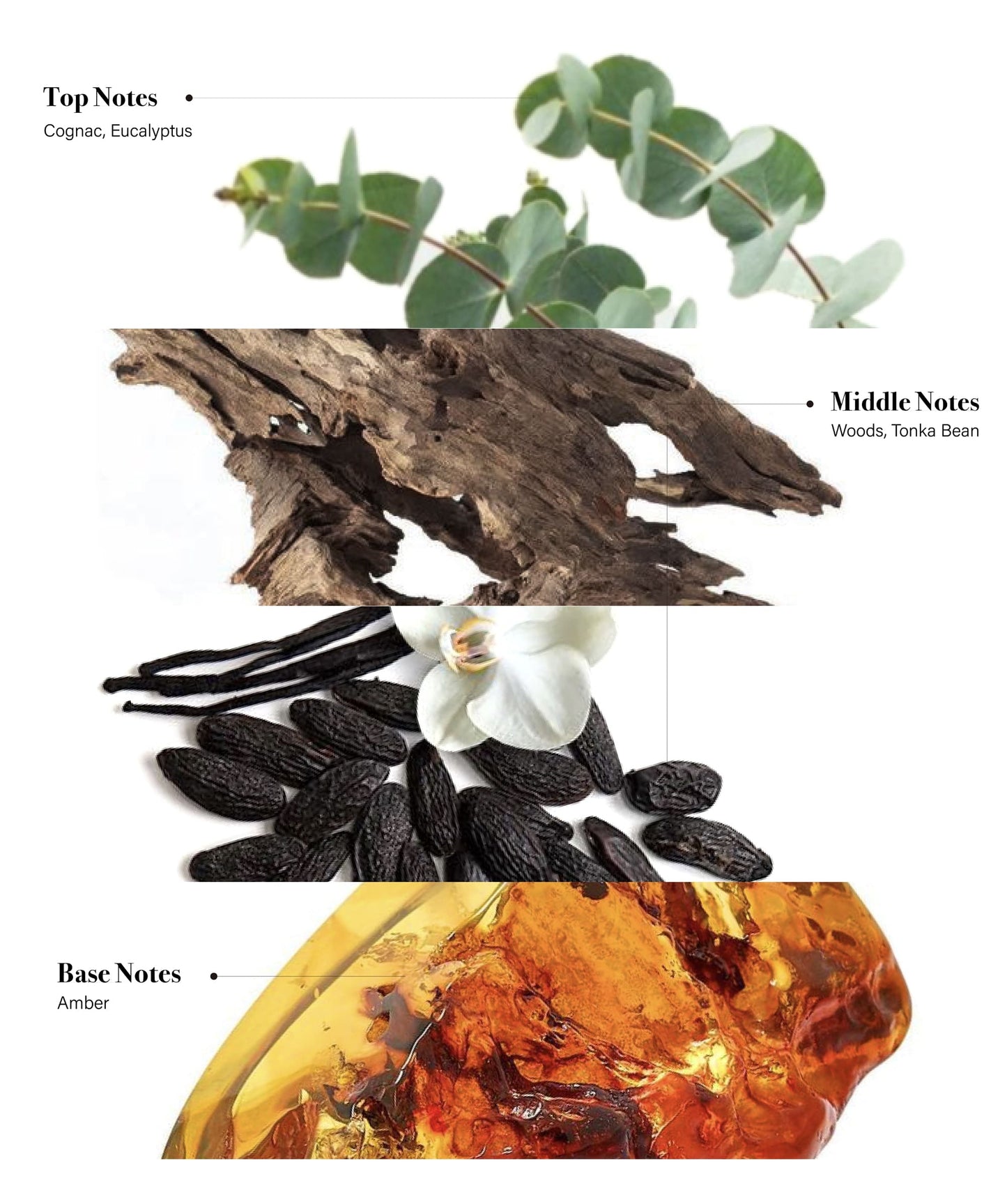 Natural Deodorant Cream