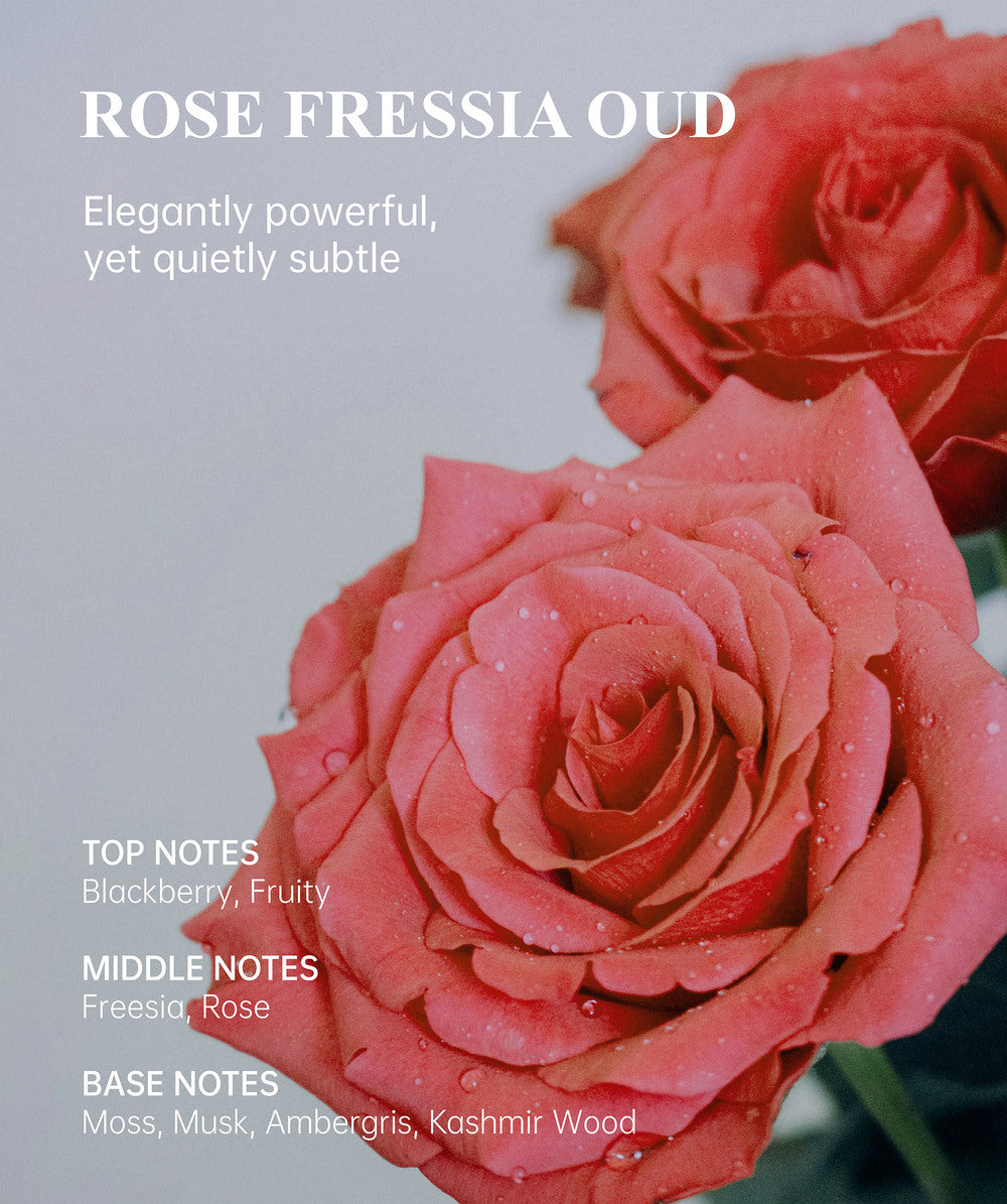 Essentials & Deluxe Set