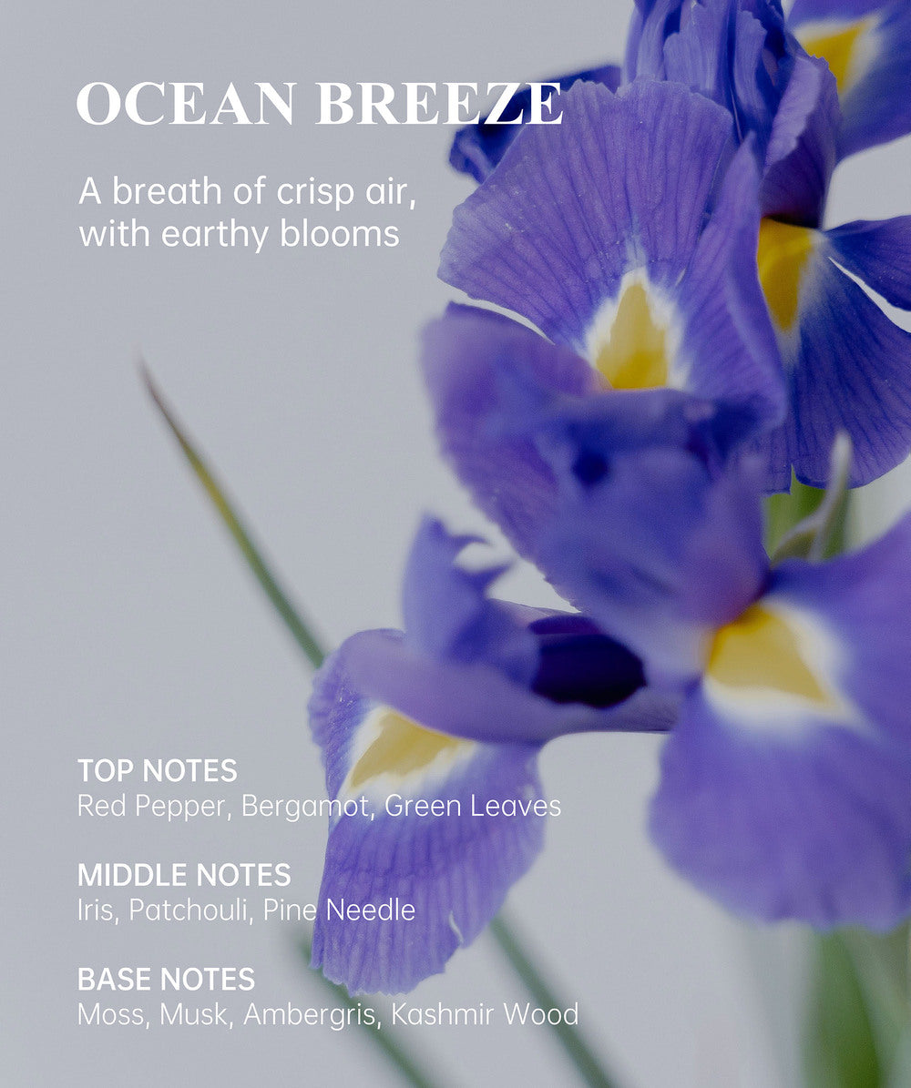 Natural Body Wash · Refined Edition