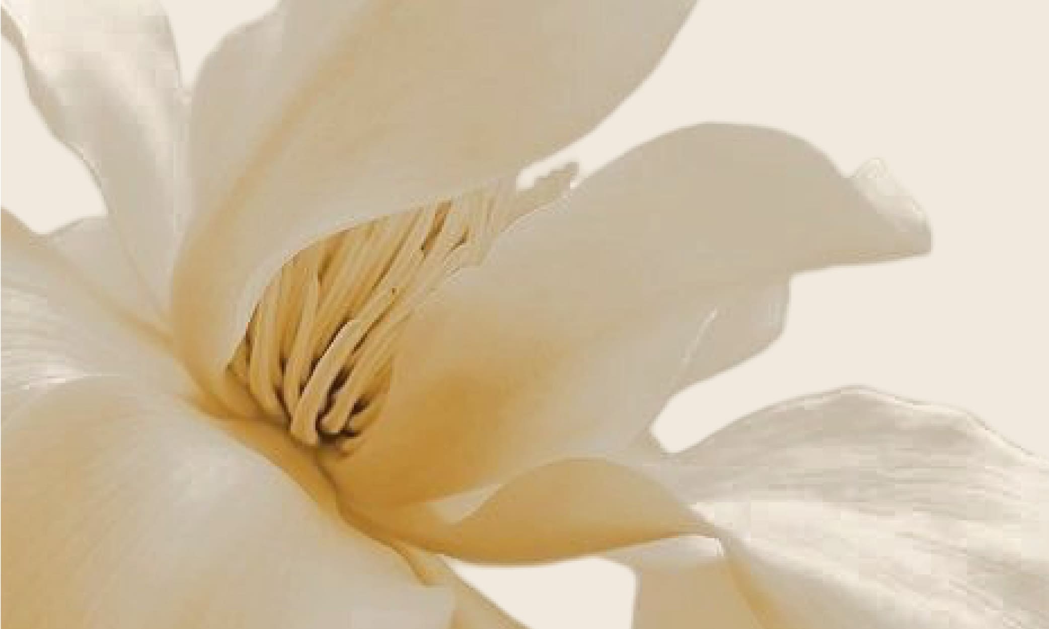 Must-Have for Spring! AtomFresh Deodorant Products at Unbeatable Prices!