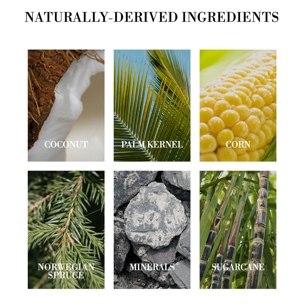 nature ingredients