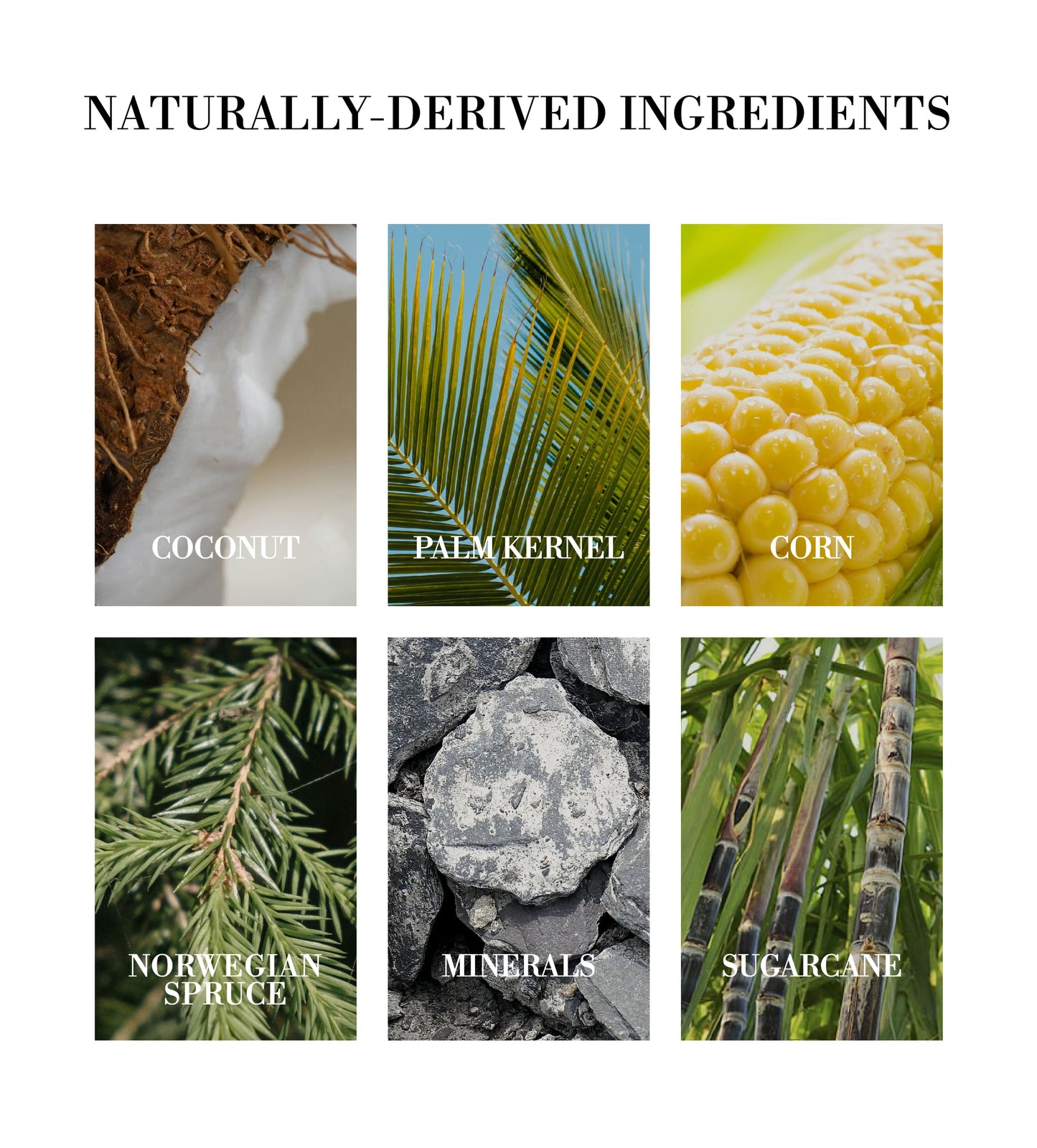 nature ingredients