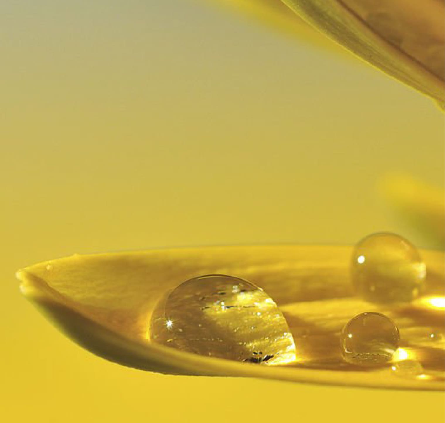 Tocopherol