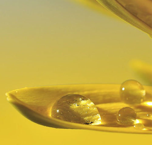 Tocopherol