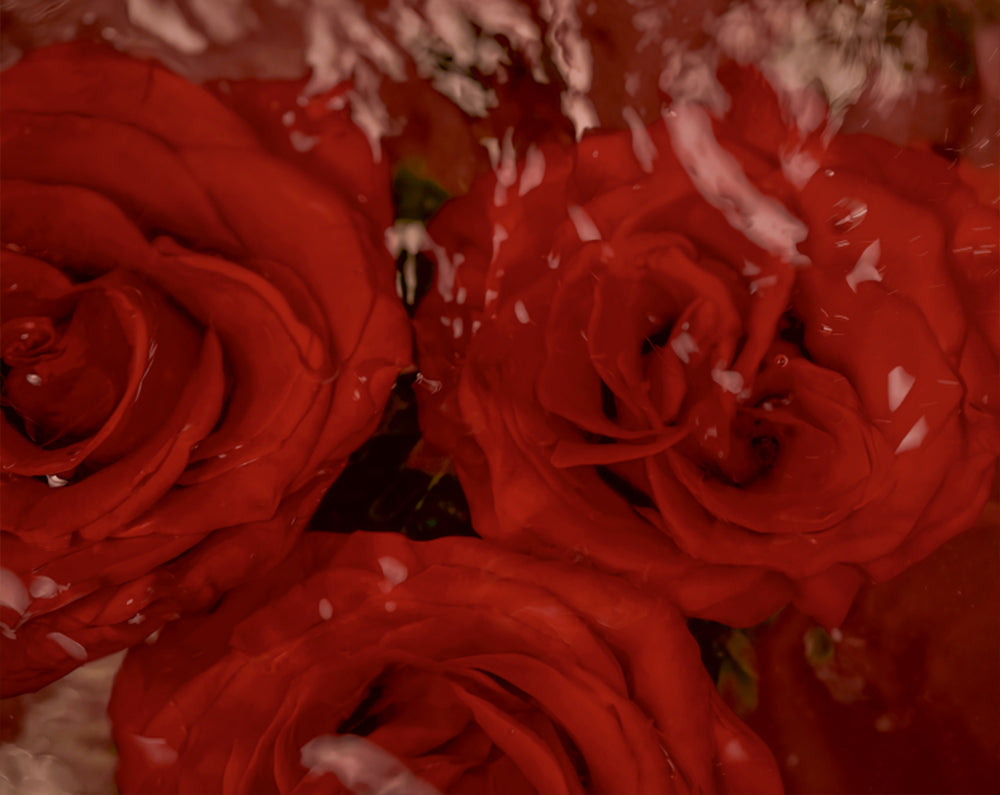 Rose Freesia Oud