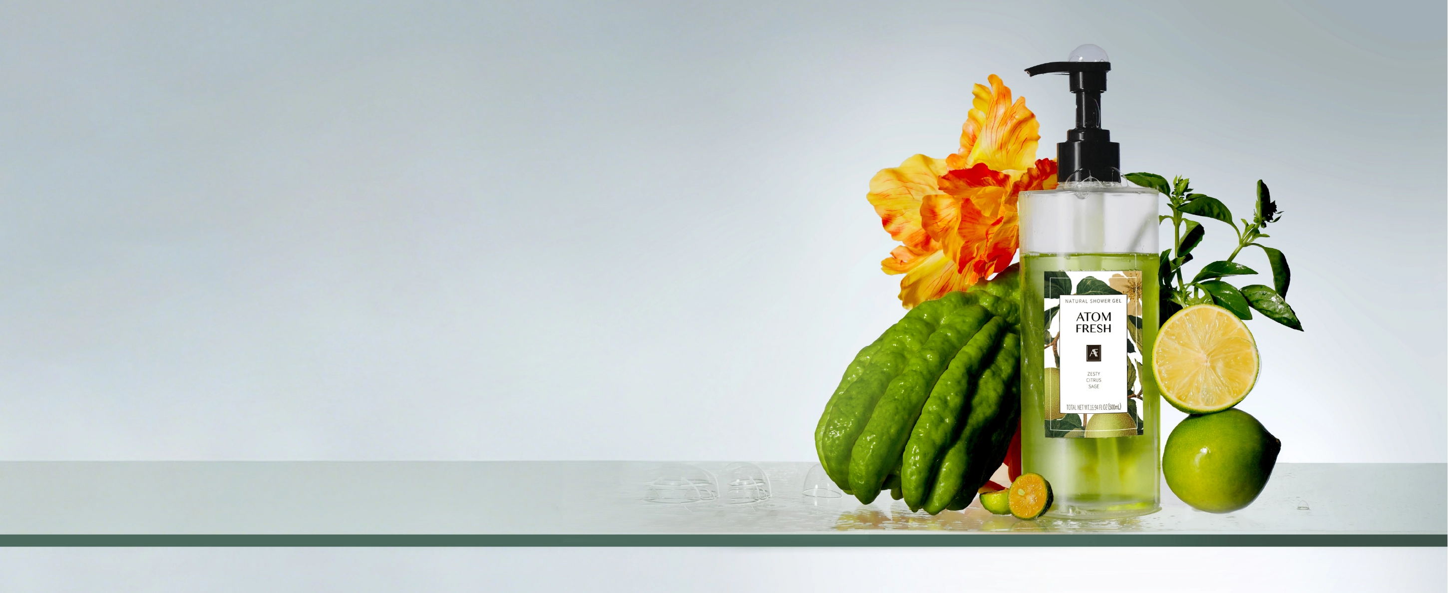 Your Verdant Ritual of Care