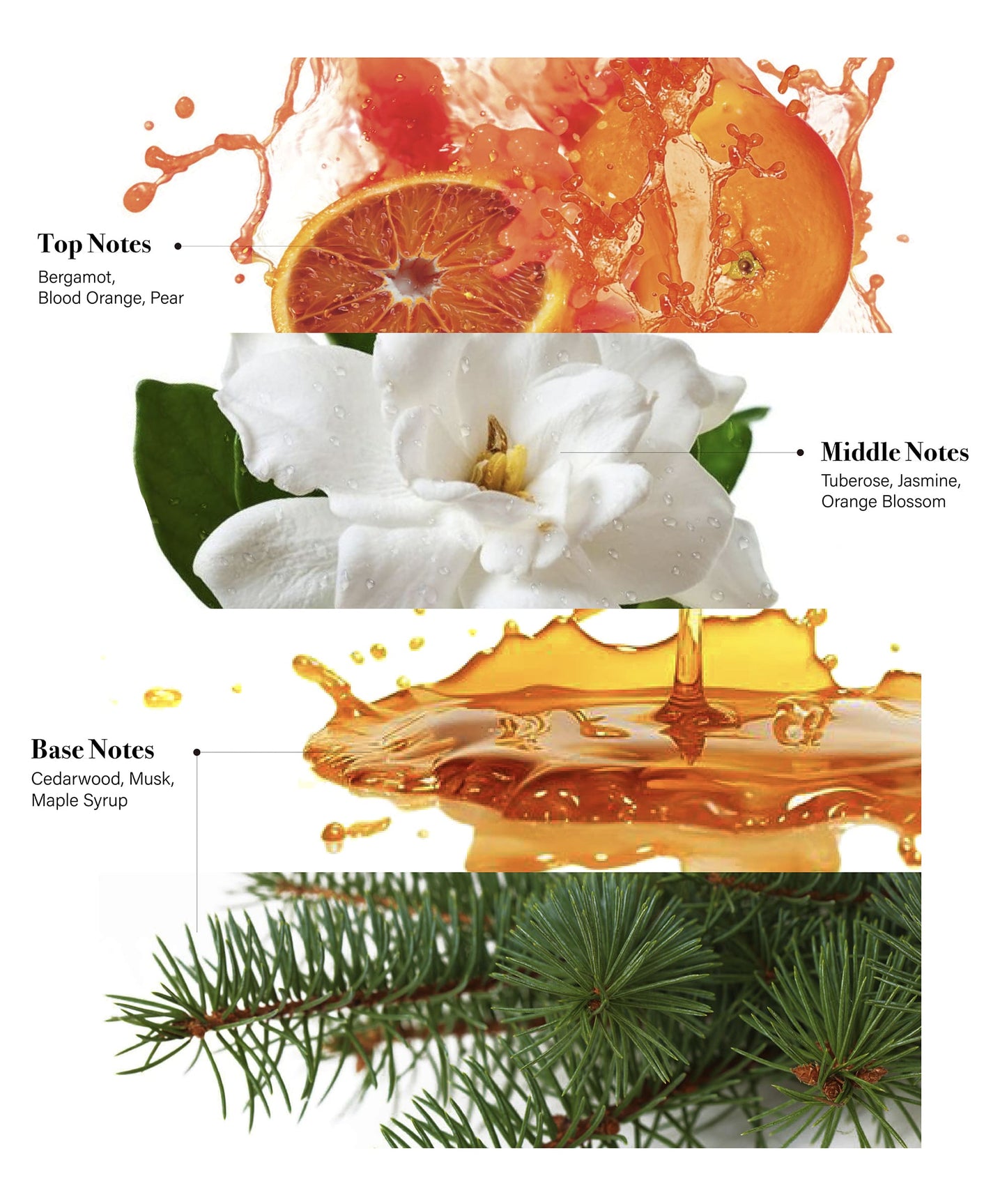 Natural Body Lotion