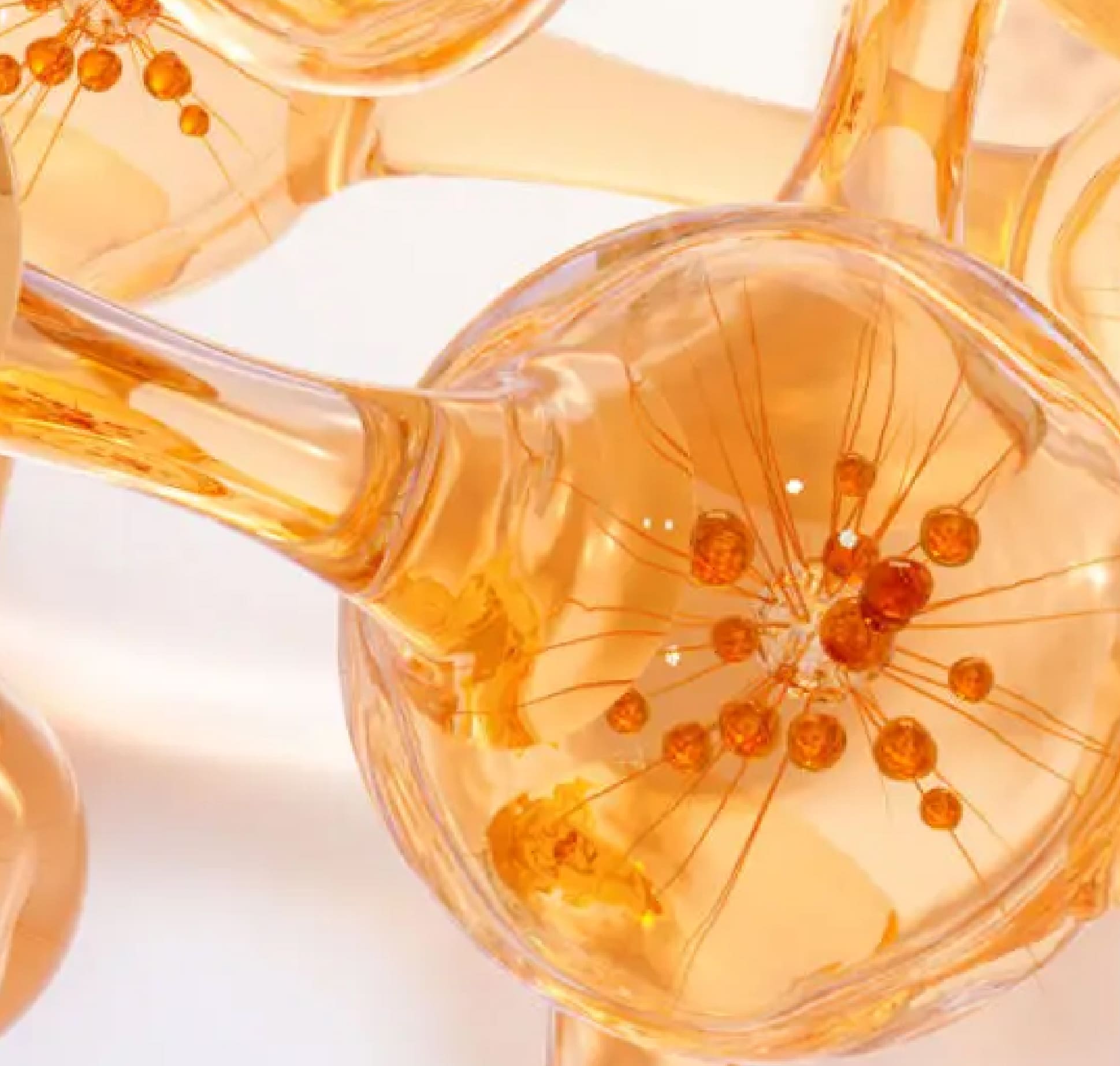 Ceramide Complex