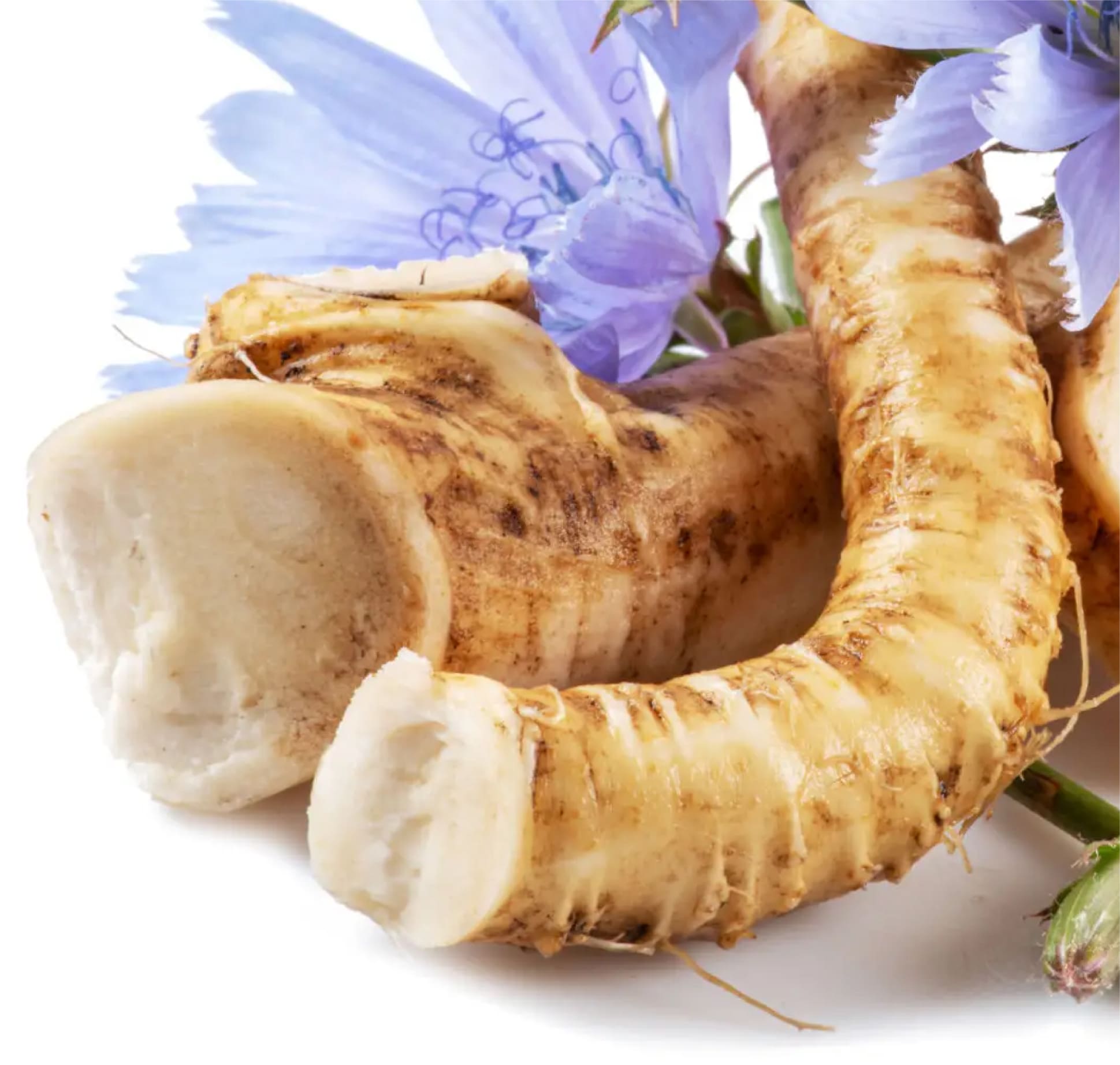Beta-Glucan & Inulin