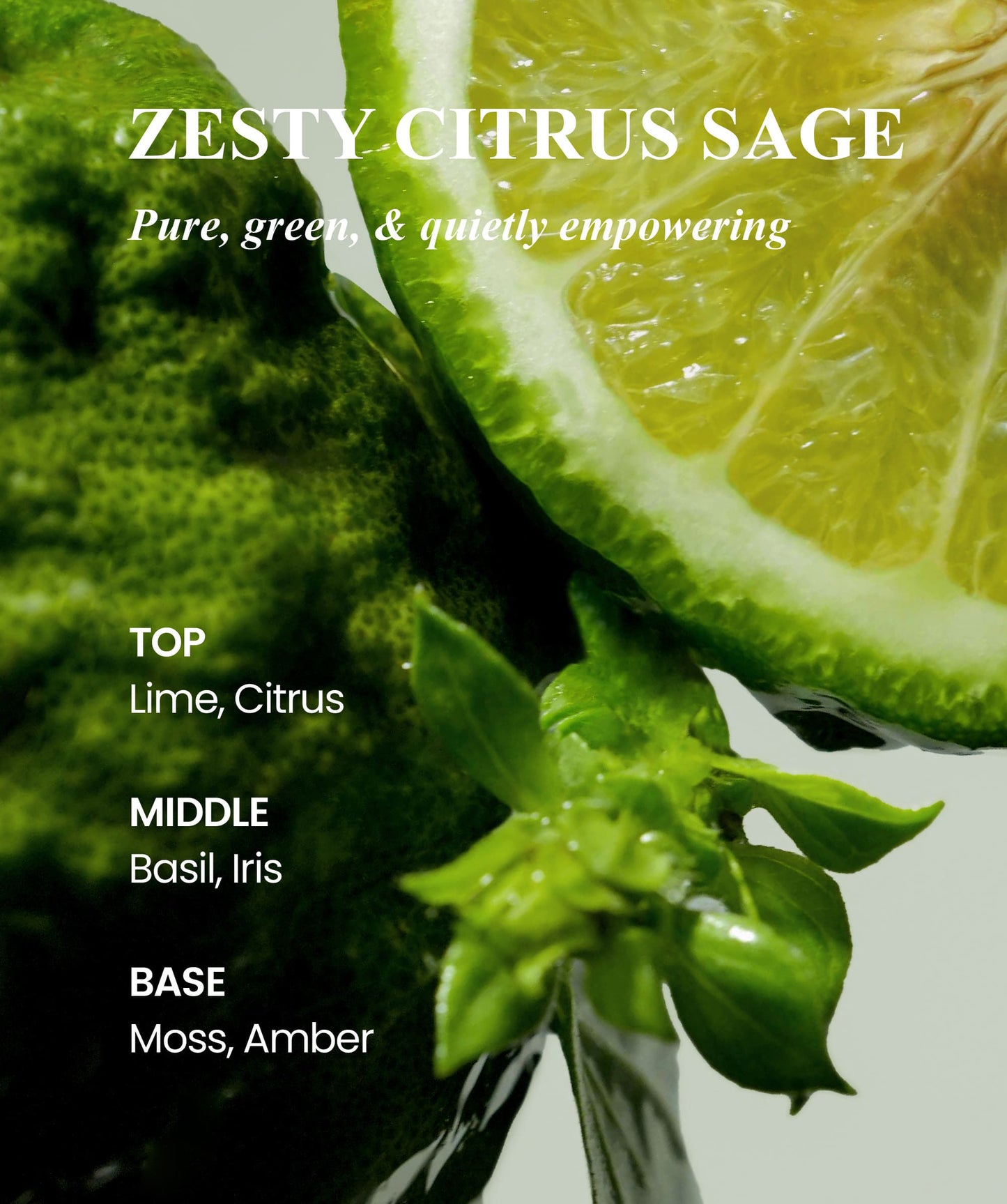 Natural Deodorant Balm