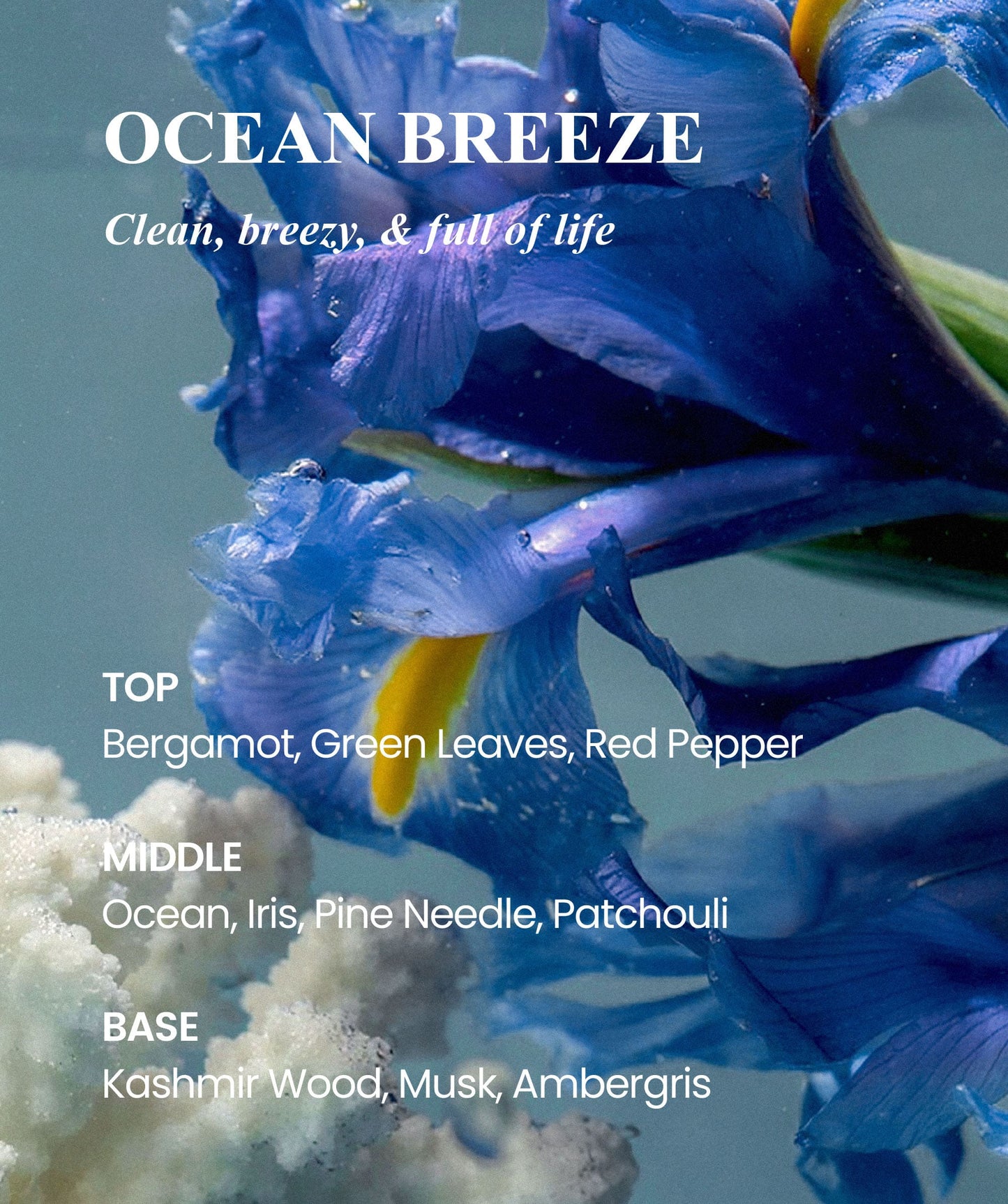 Natural Deodorant Balm