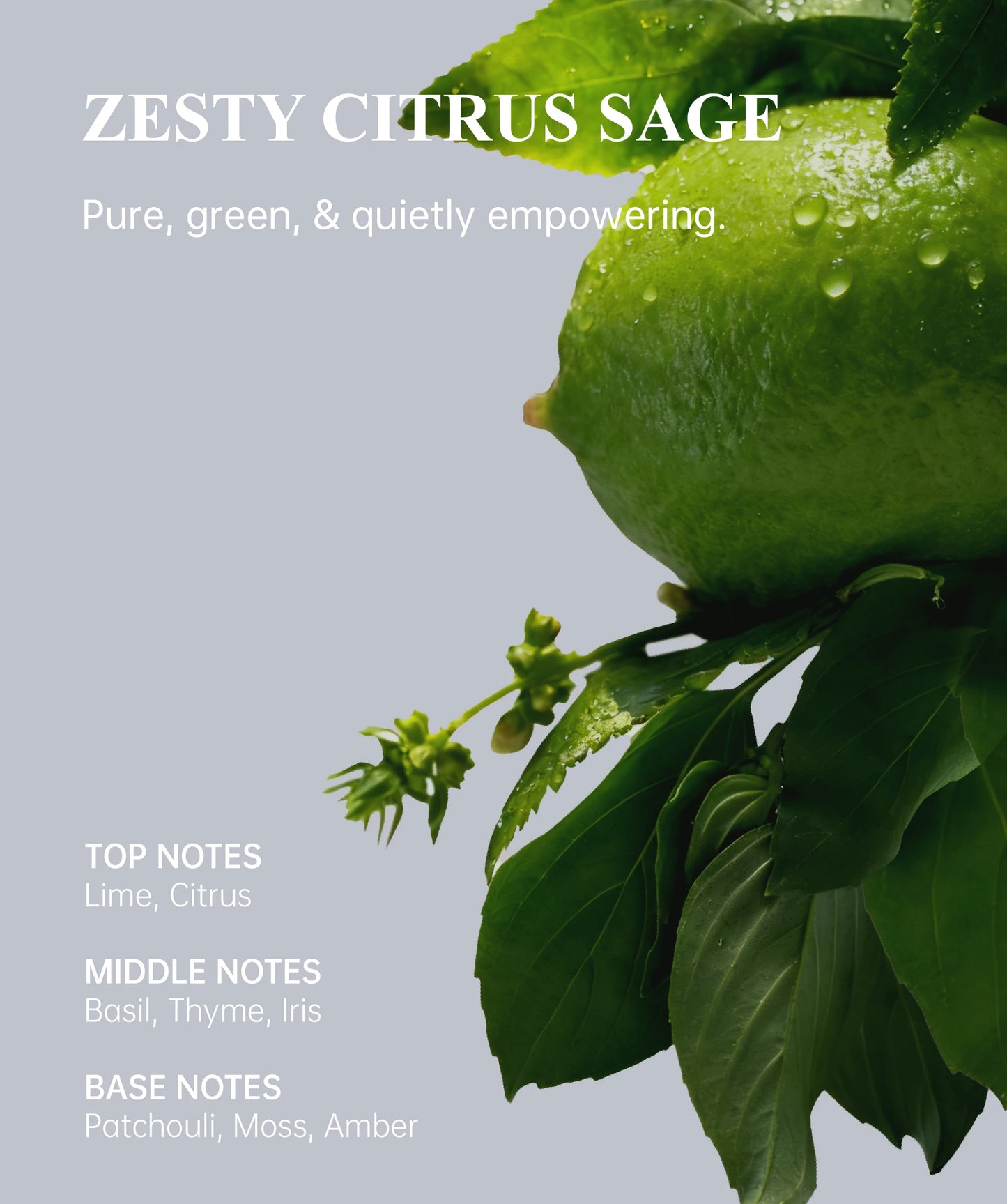 Natural Deodorant Balm