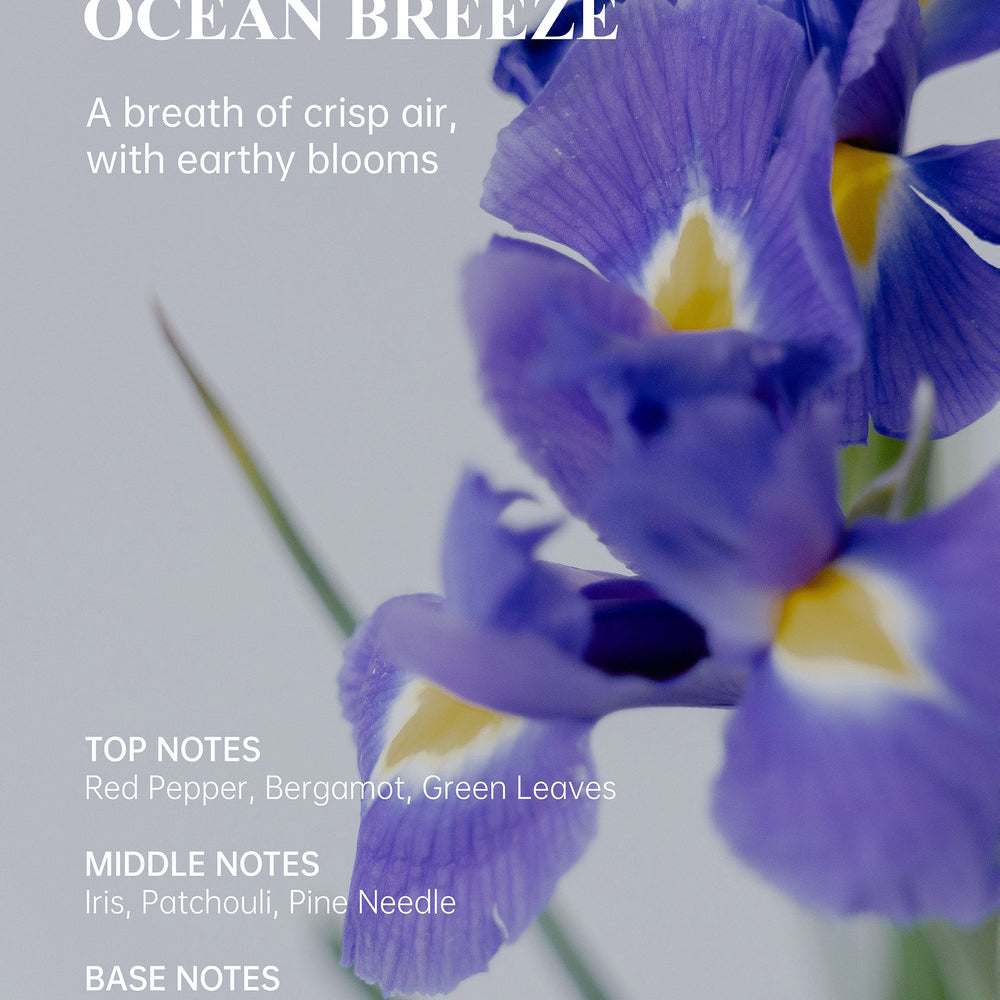 Natural Body Wash · Refined Edition