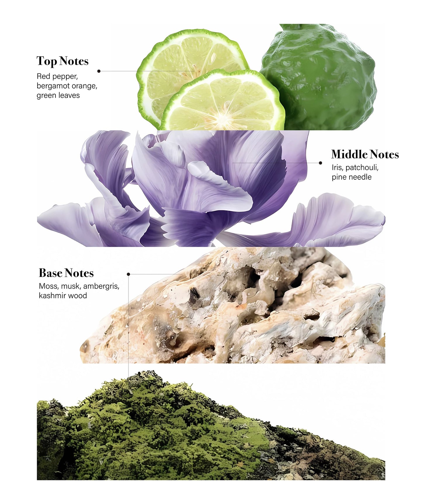 Natural Body Wash