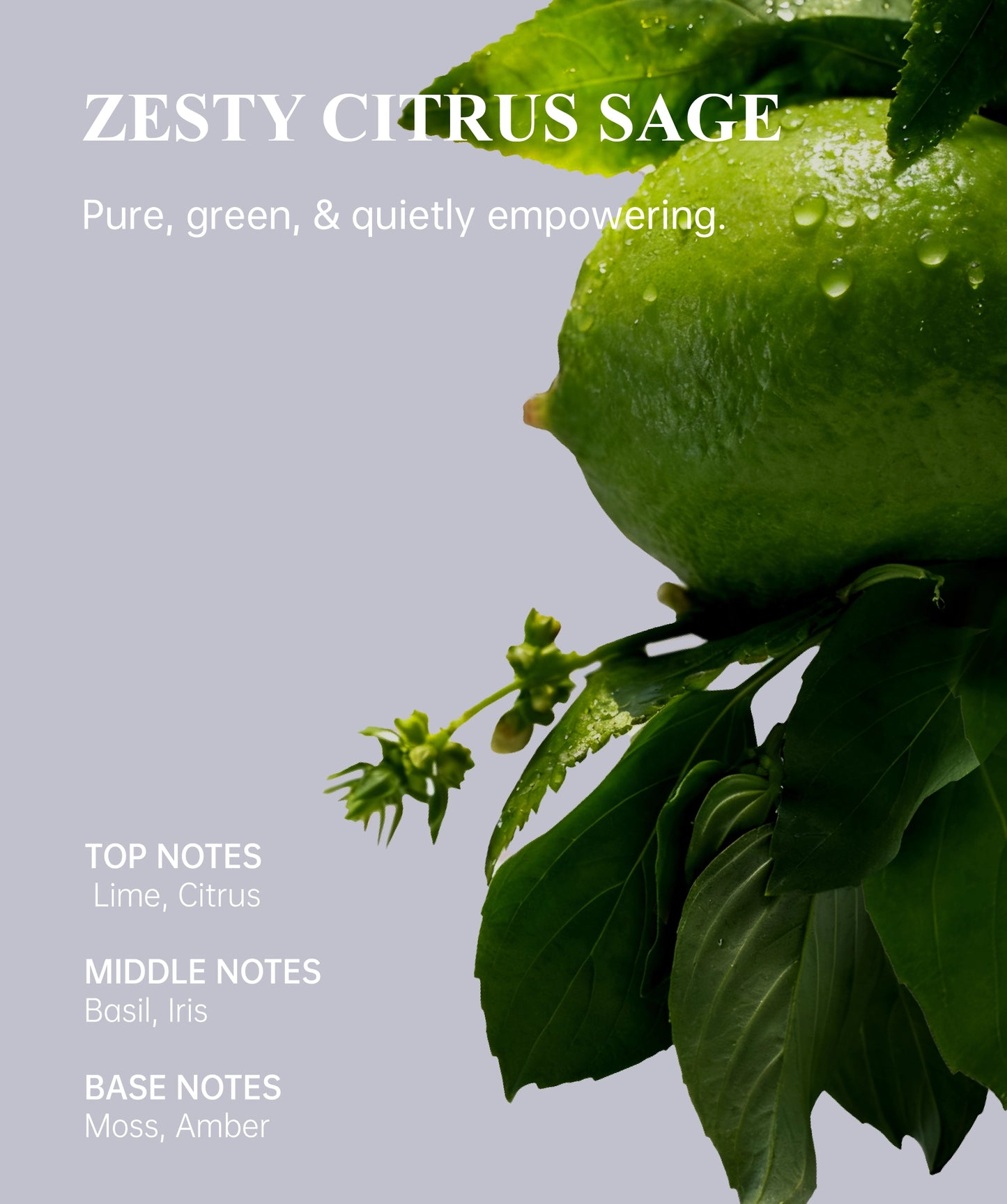 Natural Deodorant Balm